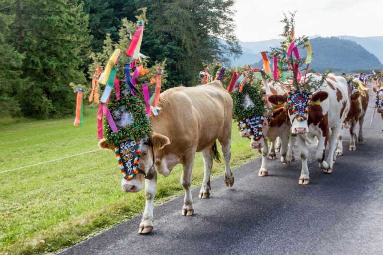 DER ALMABTRIEB IN BERCHTESGADEN: EIN FEST DER TRADITION UND GEMEINSCHAFT